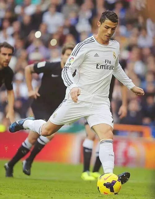 的环保目标 的环保目标