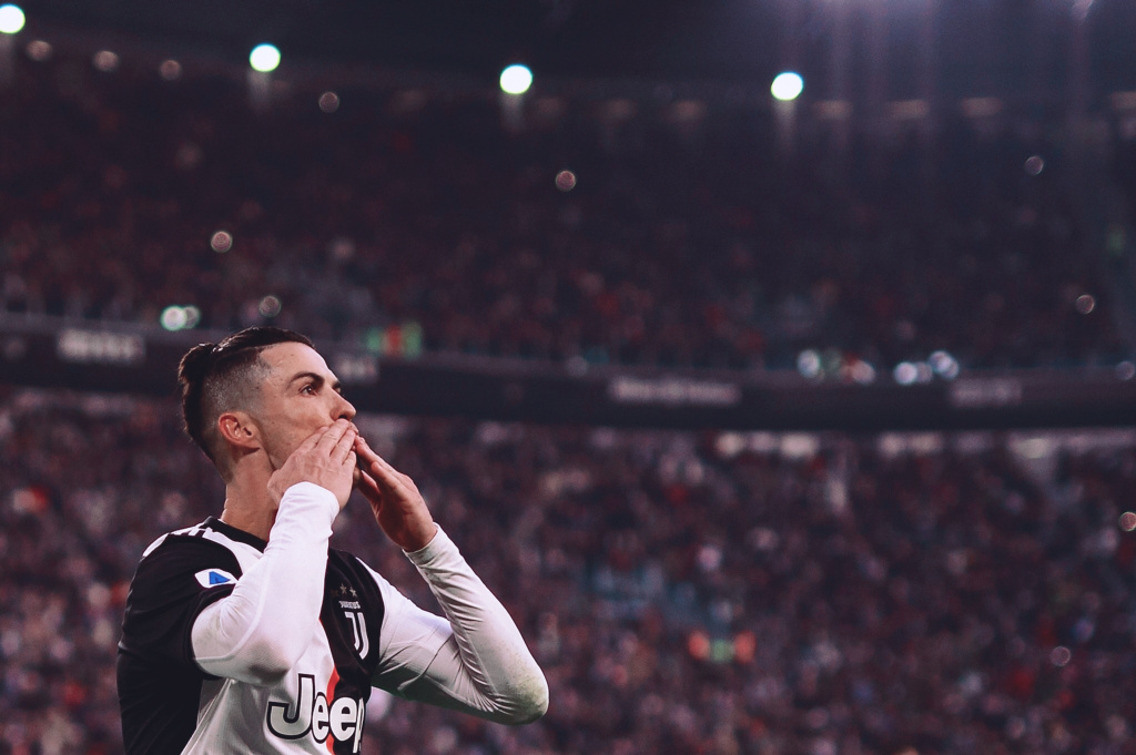 的进化路线 的进化路线