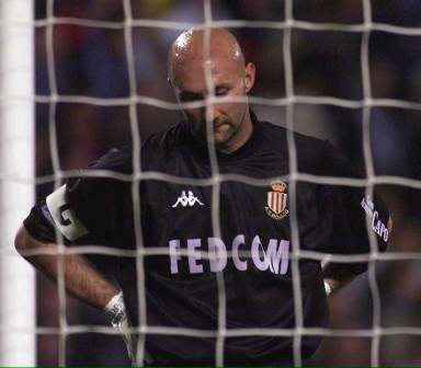 稳定与进化 稳定与进化